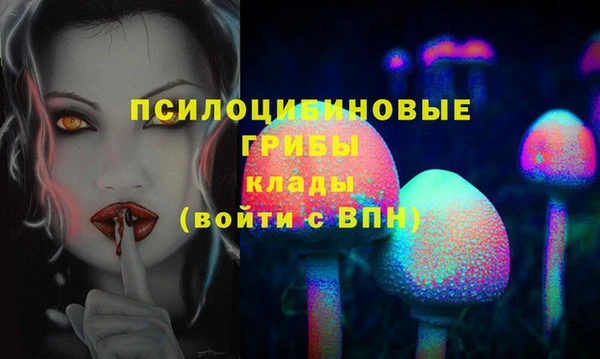 марки lsd Белокуриха